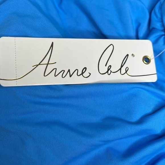 Anne Cole Live in Color V-Neck Cross-Back Shirred One-Piece Swimsuit - Picture 8 of 9